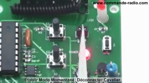 Kit Émetteur Récepteur Radio pour contrôler Moteur Électrique CC 12V à distance