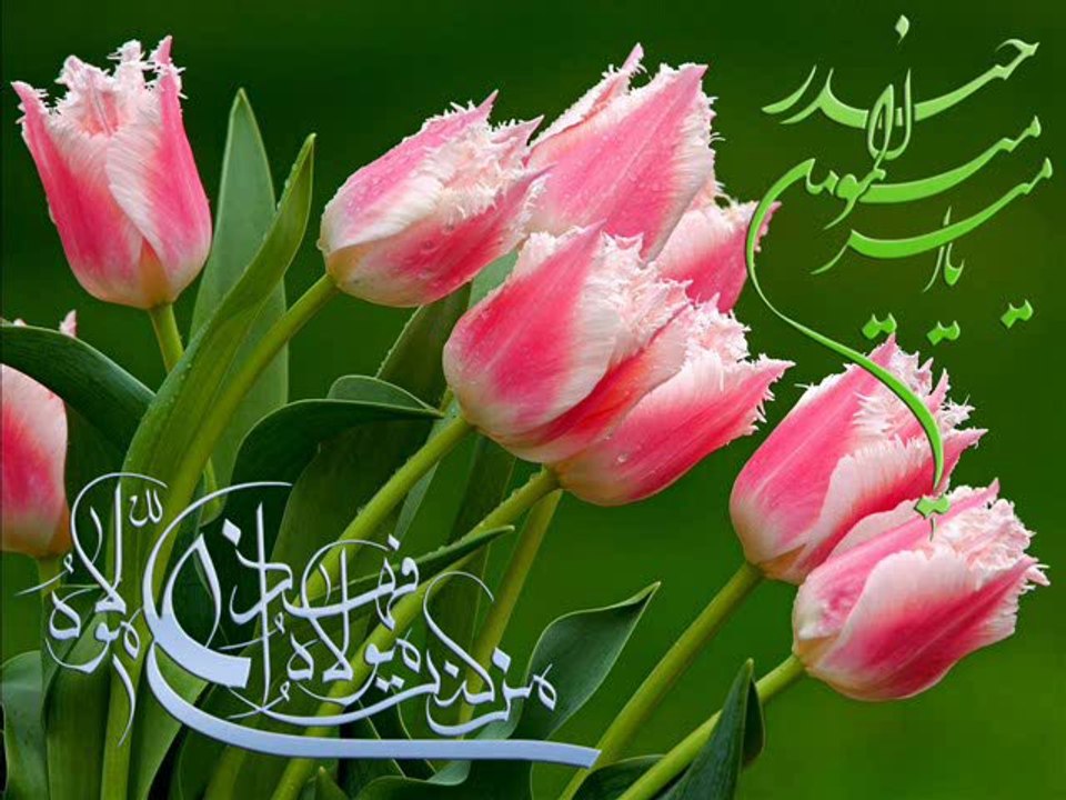 ishak Danis - Mulk Suresi