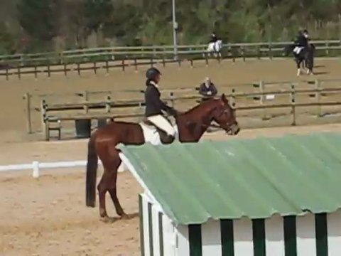 valdes leal st christo cycles classiques 4ans dress pur btz