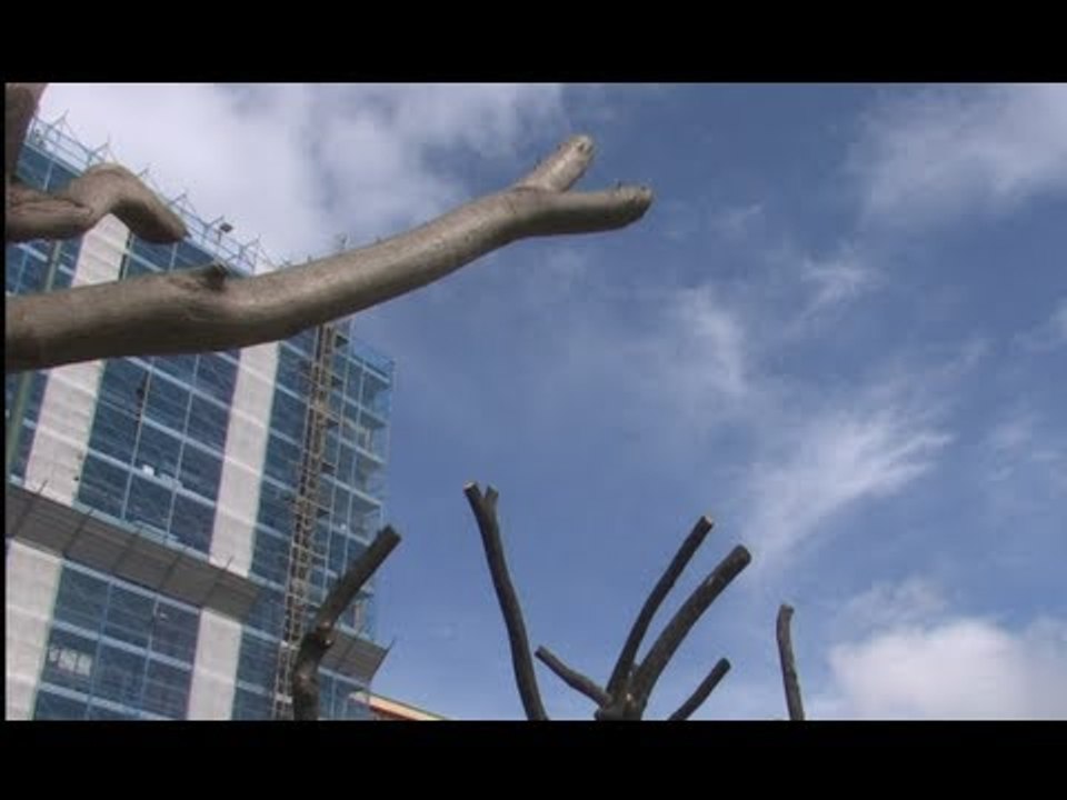 Napoli - Gli alberi della villa comunale (25.03.13)