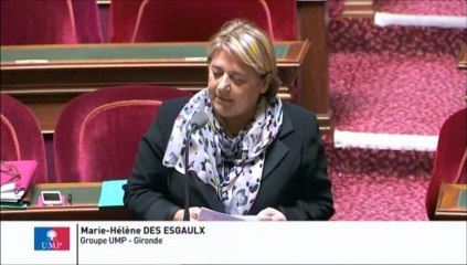 Marie-Hélène Des Esgaulx, Sénateur de la Gironde : Règlementation des baignades artificielles