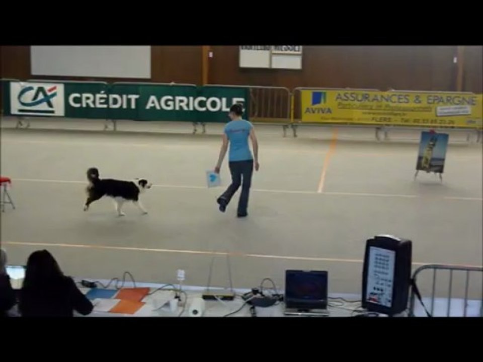 Concours d'obéryhmée à Messei