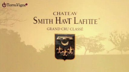 Château Smith Haut Lafitte Teaser