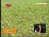 Türkiye Tohumcular Birliği Başkanı Yıldıray Gençer TRT Anadolu'da tohumu anlattı