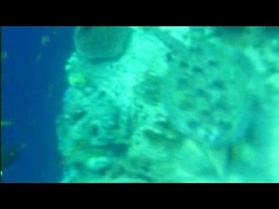 Sipadan Reine de Sabah