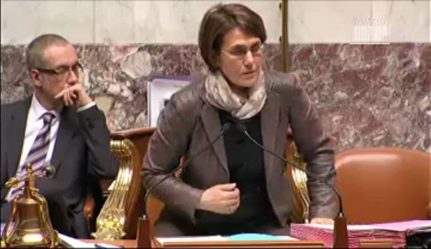 PL élections locales - intervention en séance du député Denaja - 26.03.2013.