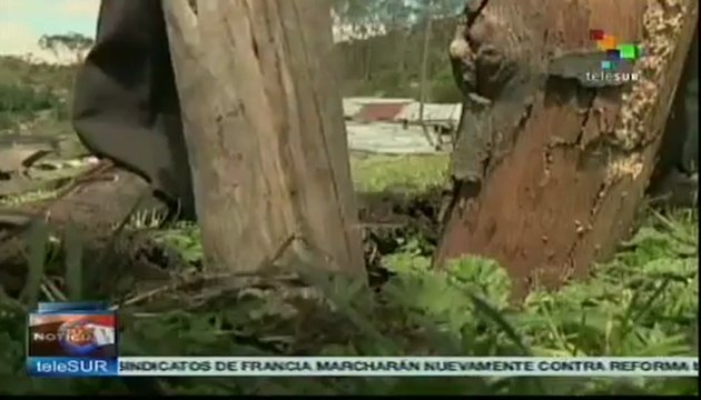 Campesinos colombianos enfrentan grandes problemas