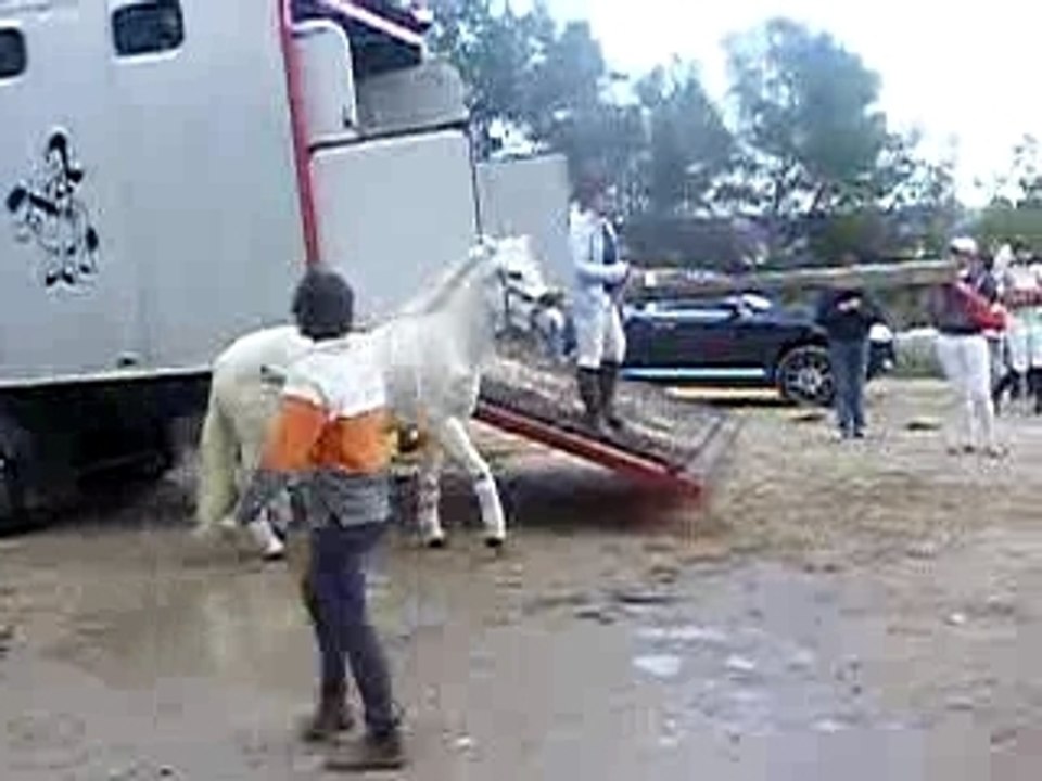 Klafouti & Sara