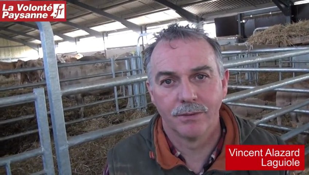 Bovins viande : performance et contrôle de croissance (Aveyron)