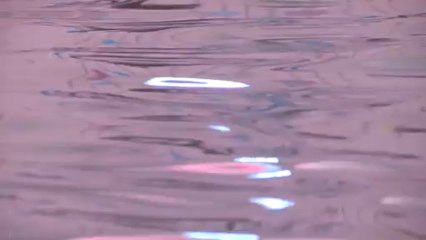 "Stepping Out: To a Life on the Edge" by Deb Burma