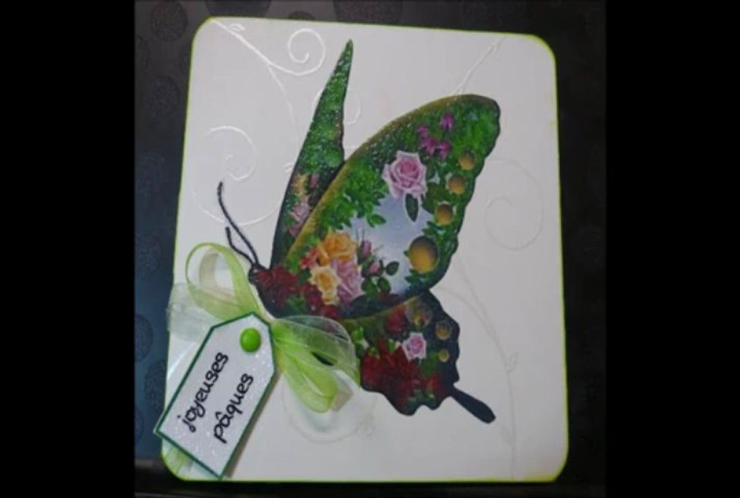 carte papillons