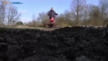 Vorst zorgt voor problemen in volkstuinen - RTV Noord