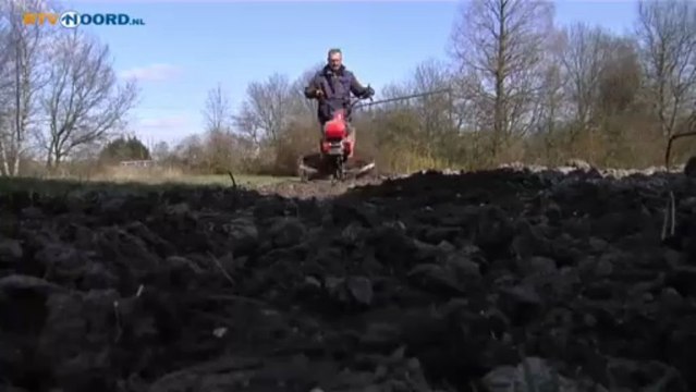 Vorst zorgt voor problemen in volkstuinen - RTV Noord