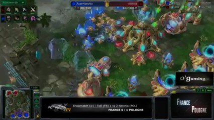 [WTF Co II] France vs Pologne - 1v1 ToD vs Nerchio - 4e match