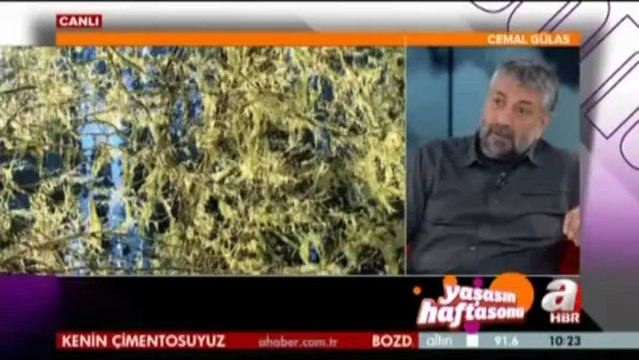 İclal Aydın'ın Konuğu Cemal Gülas