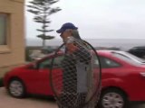 Un león marino sorprende a los huéspedes de un hotel en California