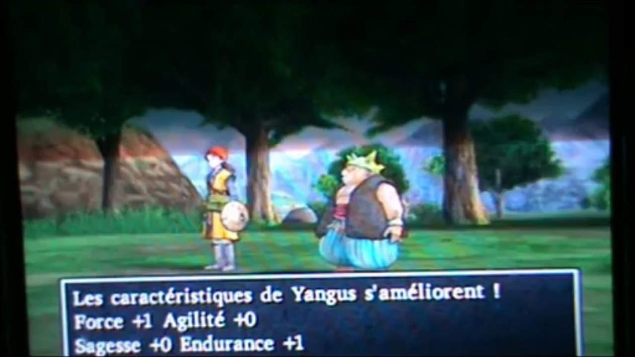 Dragon Quest 8, test très détaillé partie 1