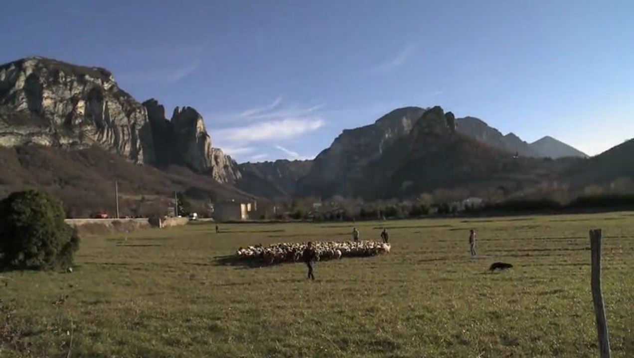Transhumance contre le puçage électronique