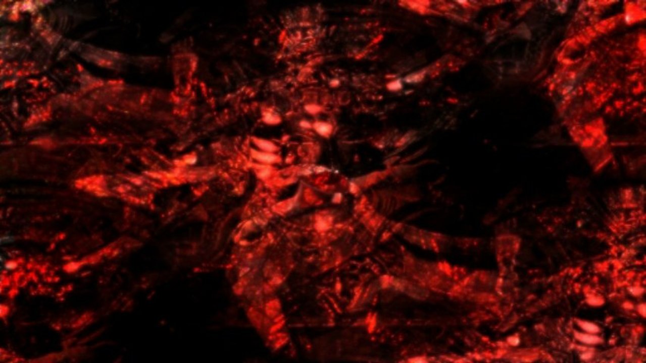 The Celestial Dance