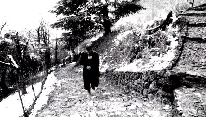 Ci Vuole Fegato (M. Bizzarri - R. Ambrosi) - Roberto Apo Ambrosi - Voci dal Cuore 3