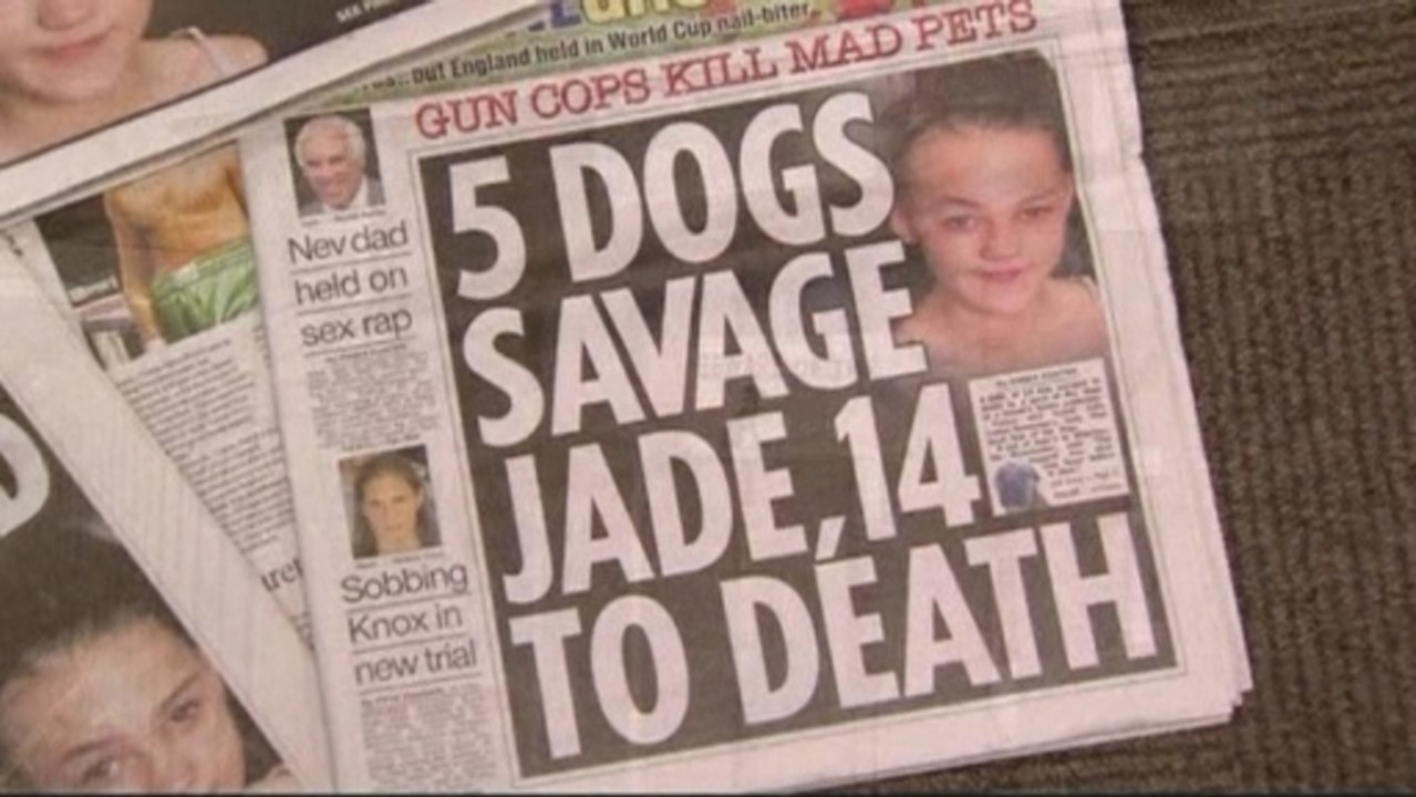 Responding police used shields, shot dogs involved in attack