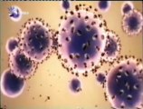 Cancer: Nanoparticulas dirigidas contra el tumor