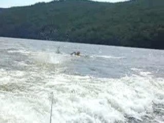 Papa bidet sort de l'eau