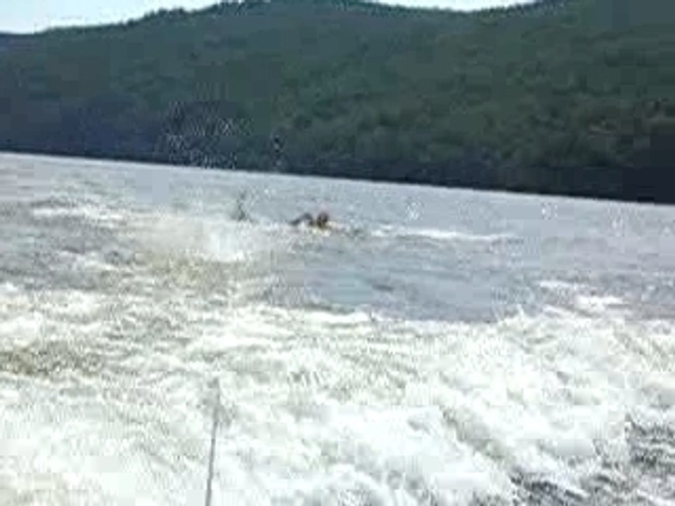 Papa bidet sort de l'eau