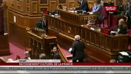 SEANCE, Débat sur le rayonnement culturel de la France à l'étranger