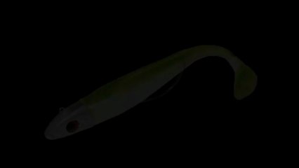 Delalande - Swat Shad