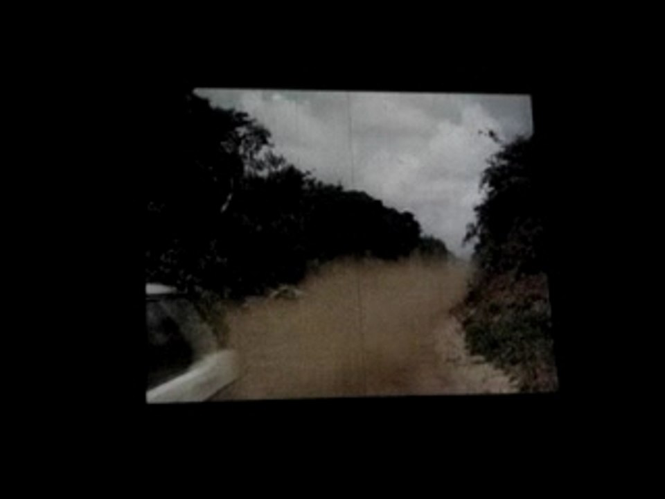 nuit des publivores bob, sa fiat et Leo