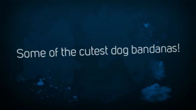 Dog Bandanas That are cute