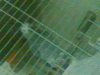 Abidinden Karışık