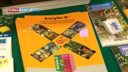 Andria - Meeting "Vigna e Olivo: tra innovazione e sostenibilità"