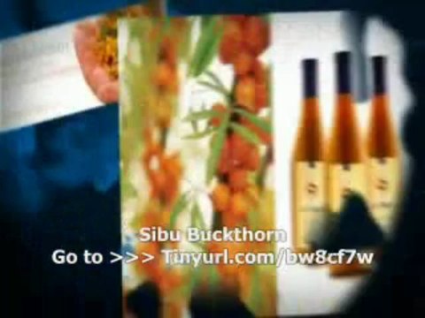 Sibu Buckthorn : Discount codes which Token Codes Sibu Buckthorn