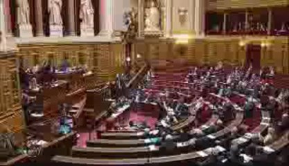 Questions au gouvernement Emploi