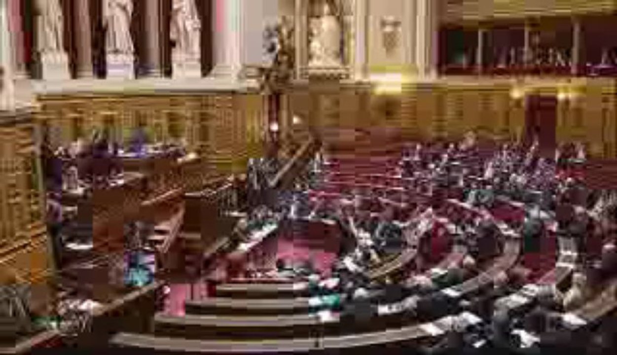Questions au gouvernement Emploi