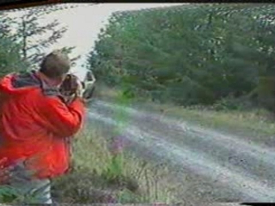 [WRC] crash Honda Civic Rally Car