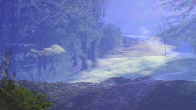 extraits des meilleurs morceaux de david brun