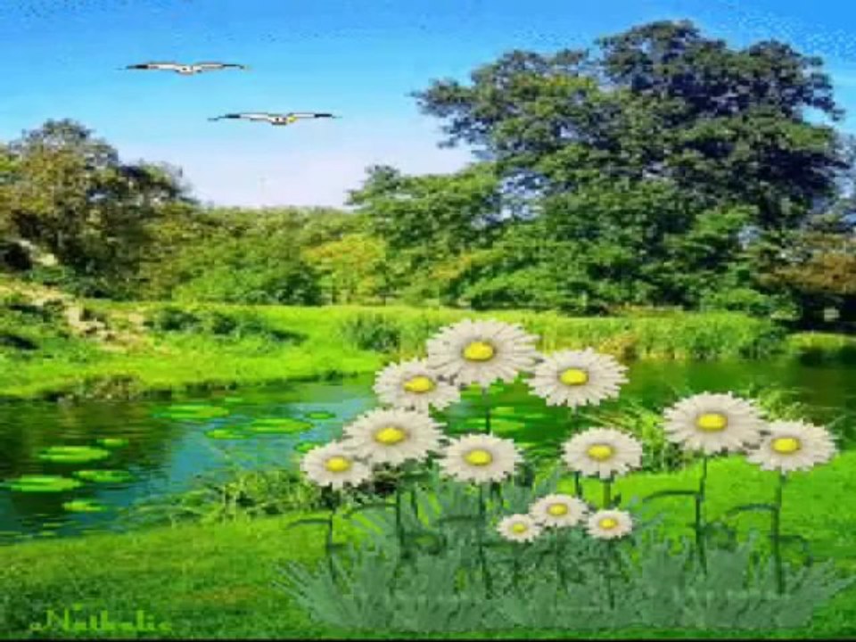 VURUN- DALGALAR- SLOV