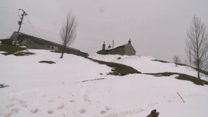 Farmers struggling after wintry burst