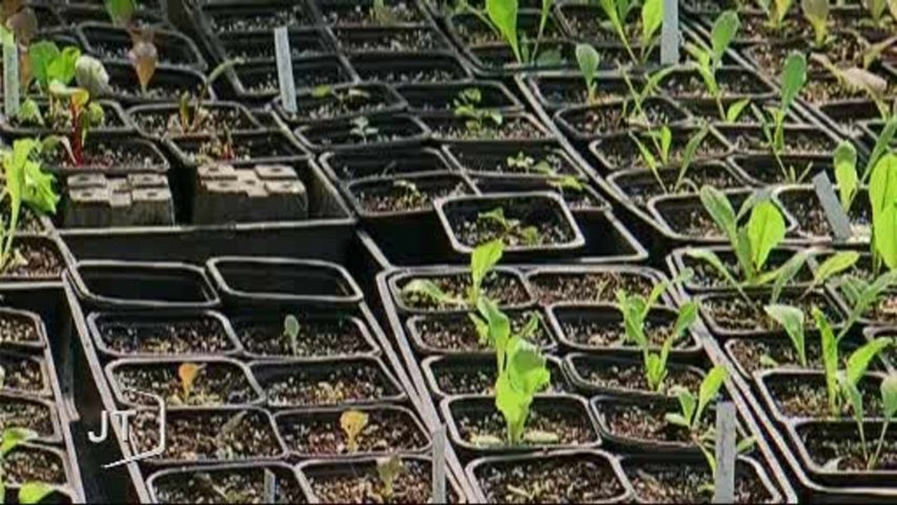 Que faire de son jardin en ce moment (La Mothe-Achard)