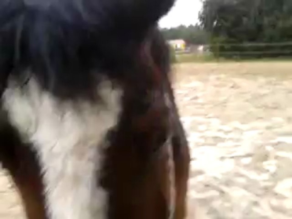 Nico cradoc sous la pluie