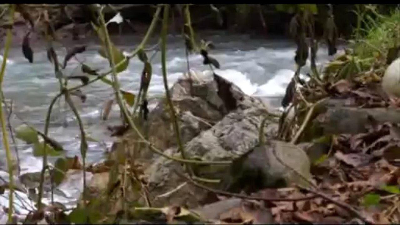 Mehmet Akyıldız - Bu Mezarda Sevdiğim Var