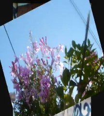 LA SAETA - POEMA ANTONIO MACHADO - MUSICA J.M. SERRAT - LADY HAGUA