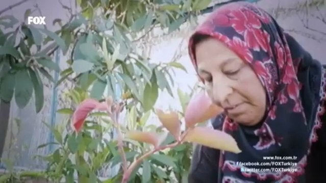 Halfeti Kara Gülün Sırrı Belgeseli - FOX Sponsorluğunda Karagül dizisi için hazırlanmıştır.