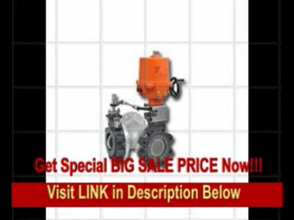 [SPECIAL DISCOUNT] Butterfly Valve