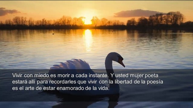Carlos de la Rosa Vidal - Pensamientos Motivacionales para Mujeres