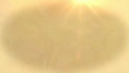 Cheap Virtual Receptionist