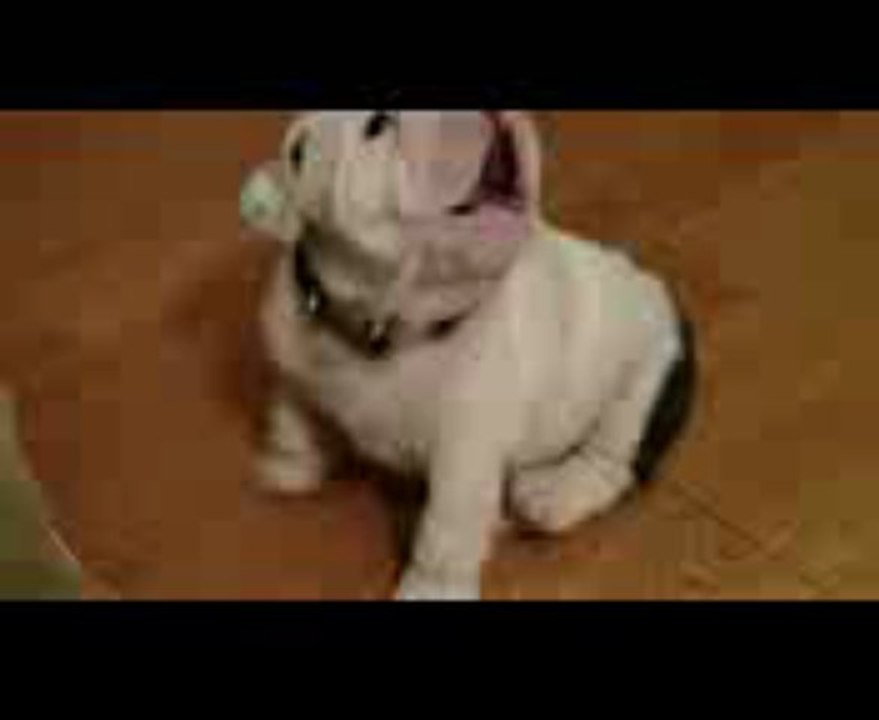 정선카지노웃유		〔 ＱＣＨ１３８.ＣＯＭ 〕웃유		정선카지노